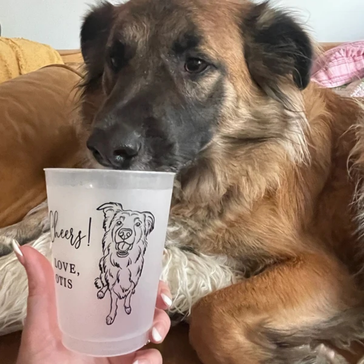 10/50 personalisierte mattiert – Plastic Cup 50Pcs Bewertung und Preis